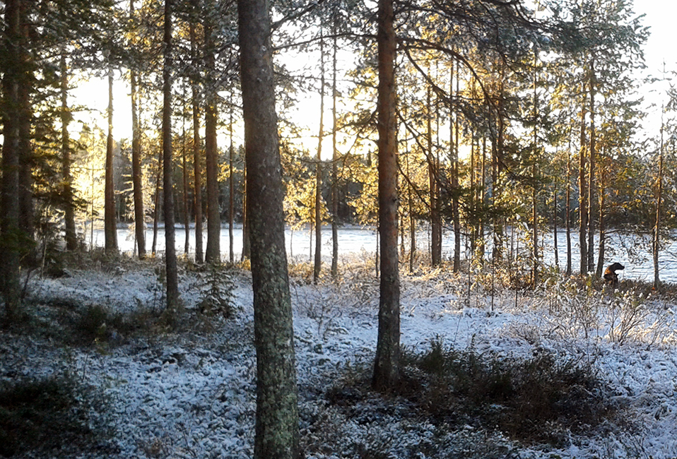 Alkutalven tunnelmaa